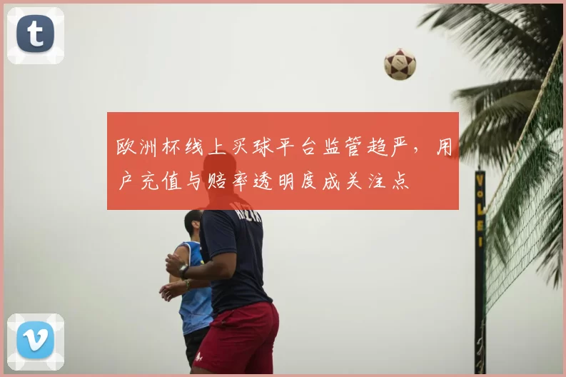 欧洲杯线上买球平台监管趋严，用户充值与赔率透明度成关注点