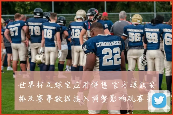世界杯足球宝应用停售 官方退款安排及赛事数据接入调整影响观赛渠道