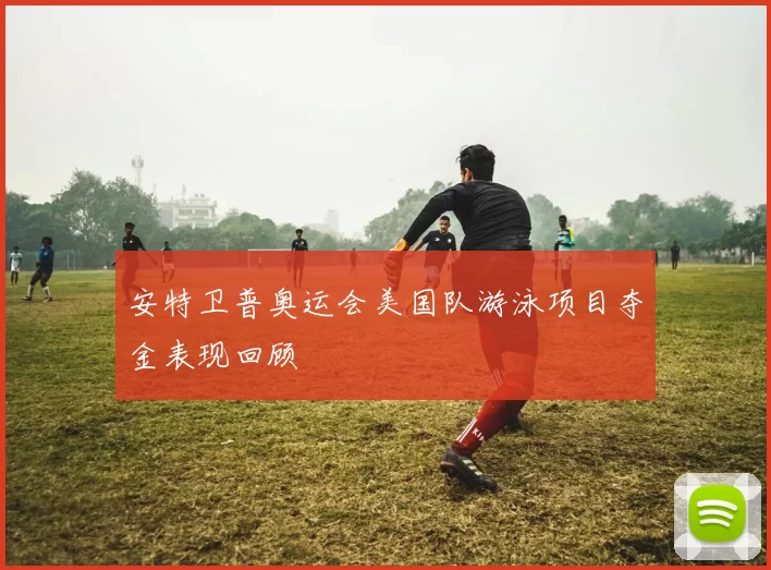 安特卫普奥运会美国队游泳项目夺金表现回顾