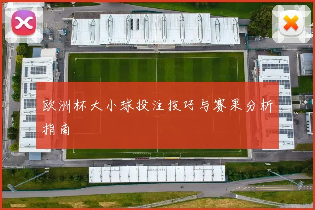 欧洲杯大小球投注技巧与赛果分析指南