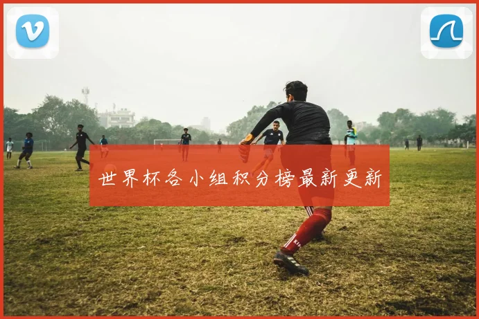 世界杯各小组积分榜最新更新